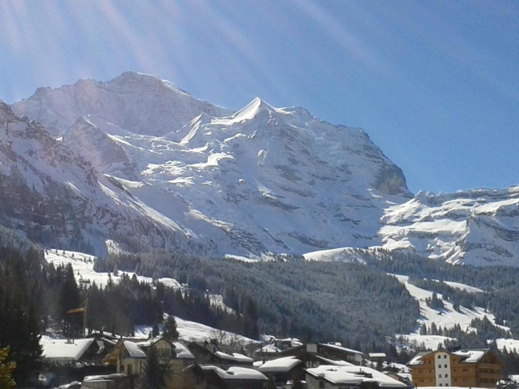 Hotel Berghaus เวงเงน ภายนอก รูปภาพ